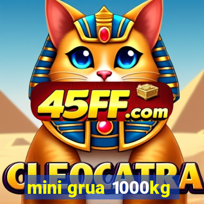 mini grua 1000kg